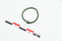 Foto von Bronzering (NHMW-PRAE-025138)